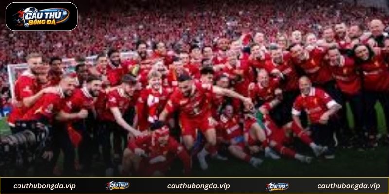 Hướng dẫn theo dõi thông tin trận đấu hiệu quả