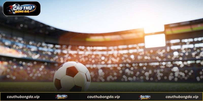 Những tính năng nổi bật của trang web