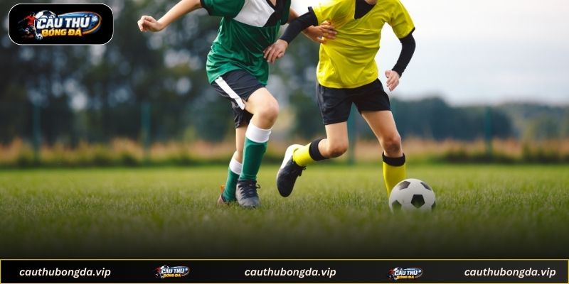 Tìm hiểu livescore cùng cách thức hoạt động