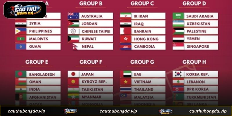 Tổng quan lịch thi đấu bóng đá cập nhật mới