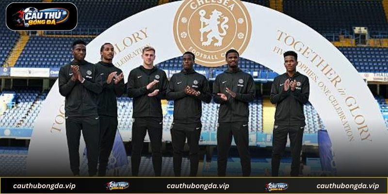 Nhận định chuyên gia về triển vọng đội bóng