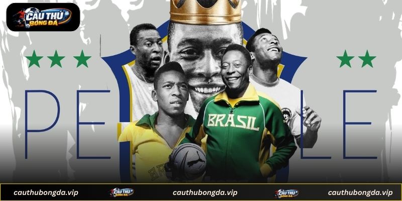 Những đóng góp to lớn cho nền túc cầu nhân loại