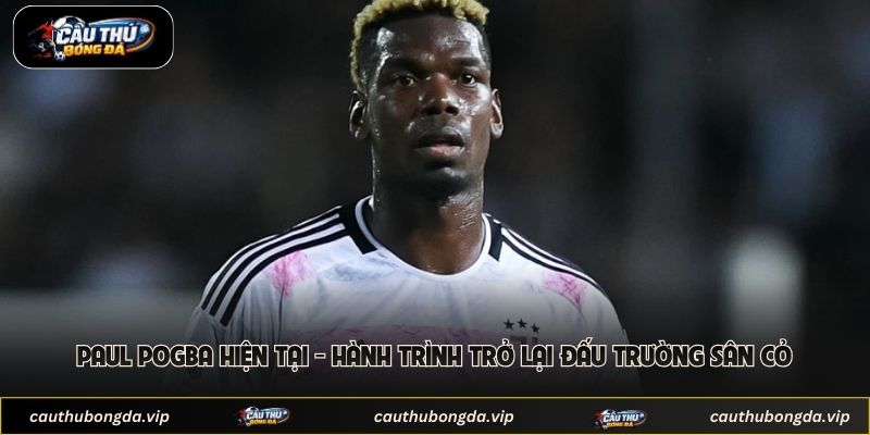 Paul Pogba Hiện Tại - Hành Trình Trở Lại Đấu Trường Sân Cỏ 