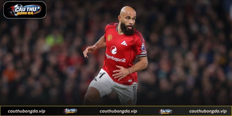 Phân tích yếu tố thu hút các ông lớn